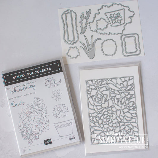 Produktpaket Simply Succulents