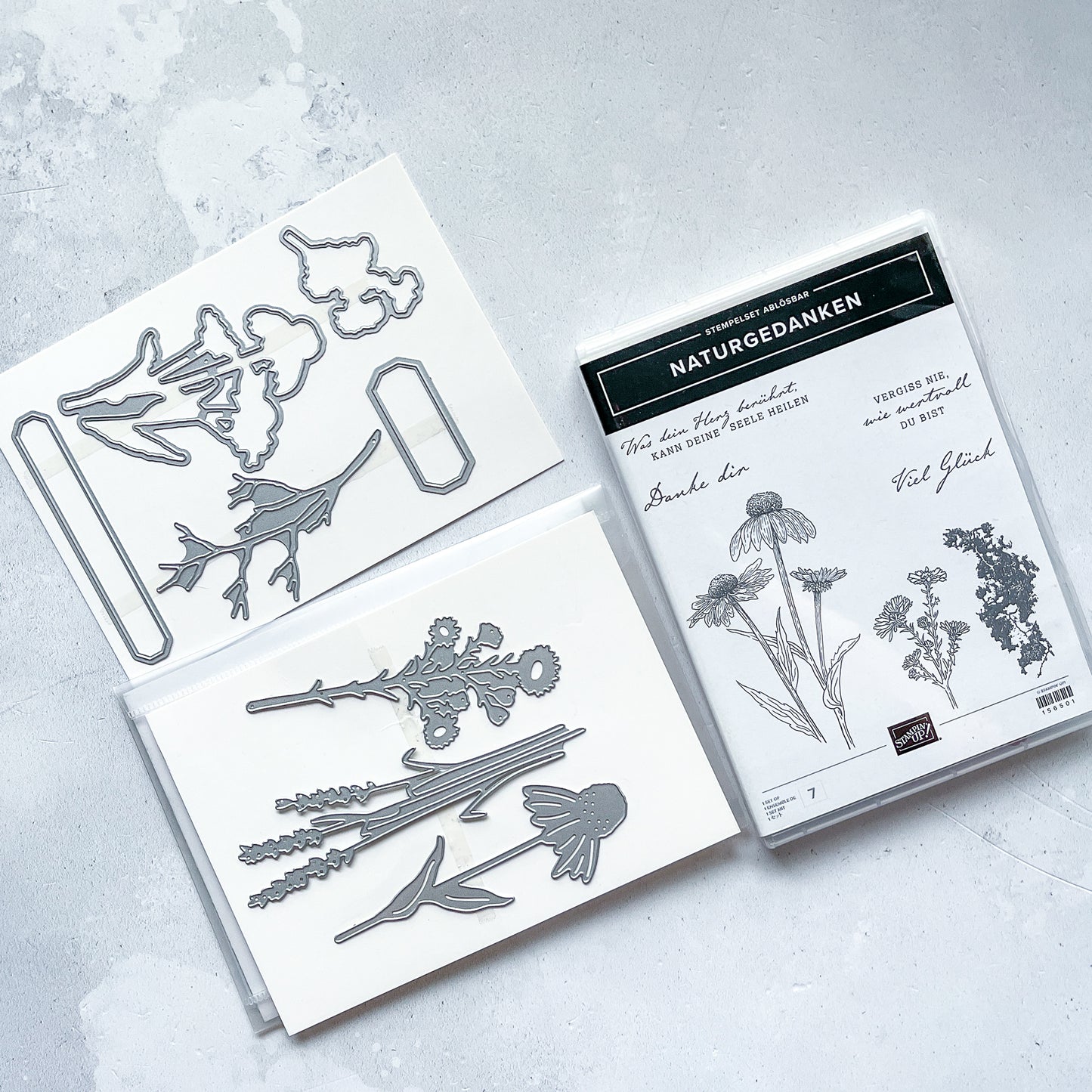 Produktpaket NATURGEDANKEN Stampin' Up!® (Ablösbar)
