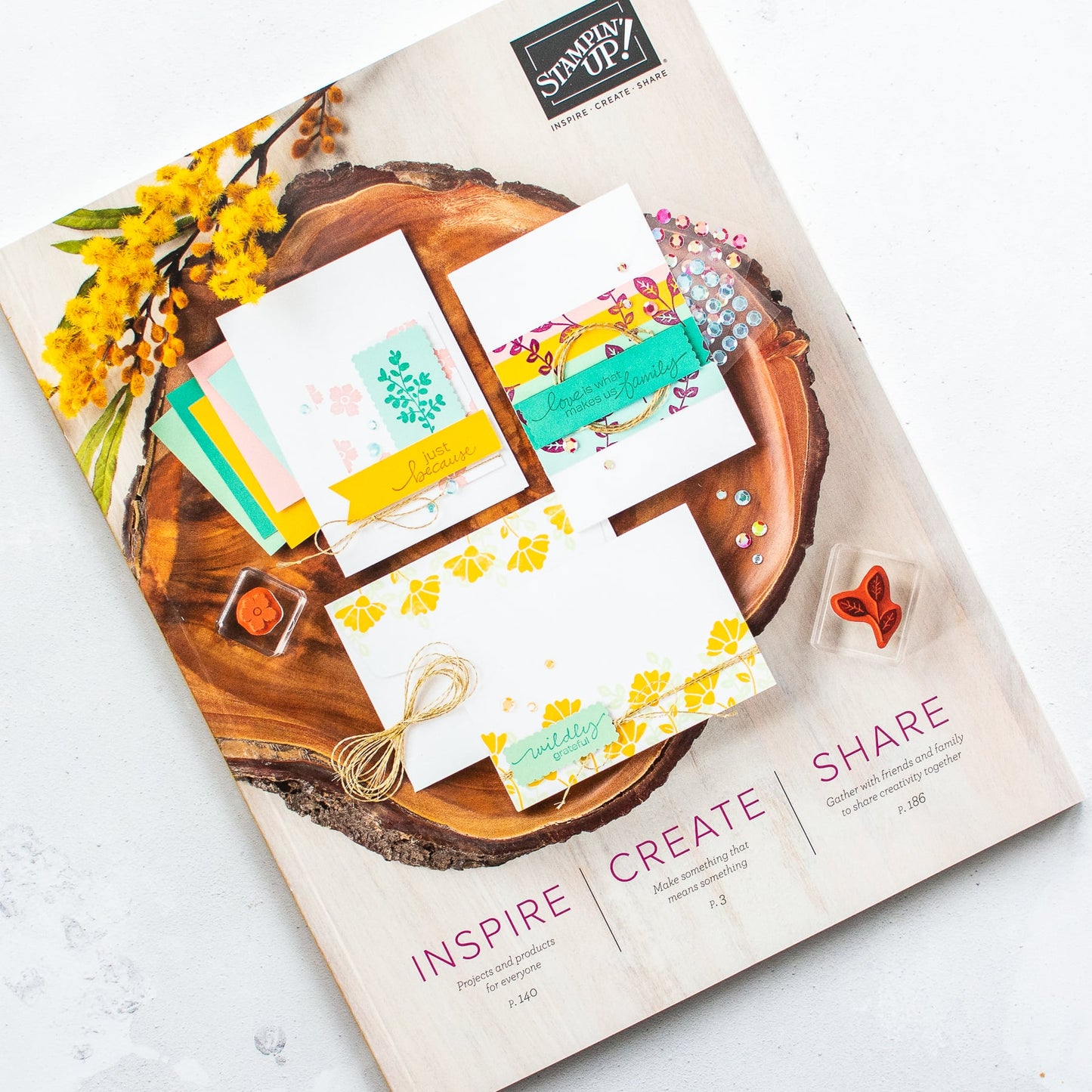 Stampin' Up!® Jahreskatalog 2020-2021